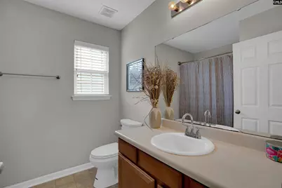 516 Foxstone Drive, Chapin, SC 29036 - Photo 29