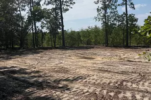 Lot 1 Patrick Hwy, Hartsville, SC 29550 - Photo 1