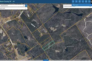 0 Indian Trail, Sandy Run, SC 29160 - Photo 1