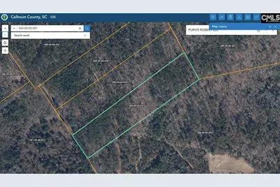 0 Indian Trail, Sandy Run, SC 29160 - Photo 3