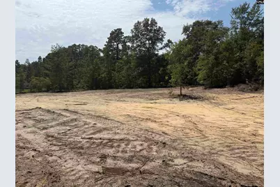 Lot 2 Patrick Highway #2, Hartsville, SC 29550 - Photo 1