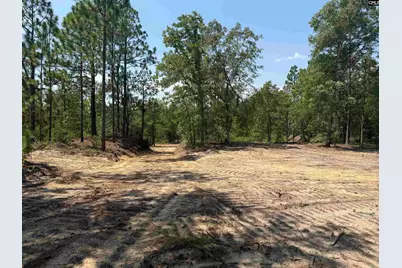 Lot 3 Patrick Highway #3, Hartsville, SC 29550 - Photo 3