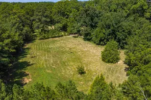 148 Beulah Church Rd, Gilbert, SC 29054 - Photo 71