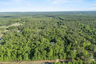 1604 Malvern Hill Dr, Camden, SC 29020 - Photo 43