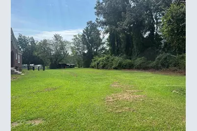 709 Saint Peters Church Road, Chapin, SC 29036 - Photo 23