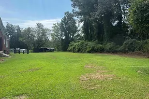 709 St Peters Church Rd, Chapin, SC 29036 - Photo 23