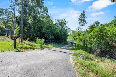 342 Water Tank Road, Pelion, SC 29123 - Photo 35