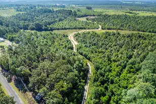 342 Water Tank Rd, Pelion, SC 29123 - Photo 45