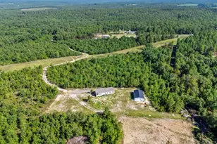 342 Water Tank Rd, Pelion, SC 29123 - Photo 37