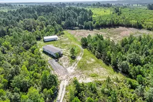 342 Water Tank Rd, Pelion, SC 29123 - Photo 43