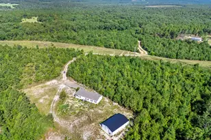 342 Water Tank Rd, Pelion, SC 29123 - Photo 39