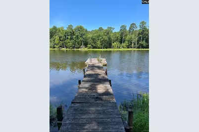 467 Collum Landing Road, Batesburg, SC 29006 - Photo 3