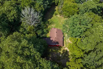 467 Collum Landing Road, Batesburg, SC 29006 - Photo 7