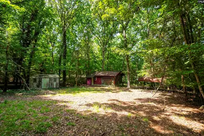 467 Collum Landing Road, Batesburg, SC 29006 - Photo 15