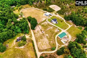 172 Eugene Neese Ln, Swansea, SC 29160 - Photo 49