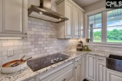 172 Eugene Neese Lane, Swansea, SC 29160 - Photo 7