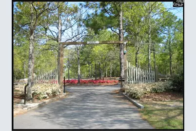 Edisto Lake Road Lot A, Wagener, SC 29164 - Photo 5