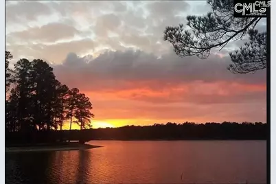 Edisto Lake Road Lot A, Wagener, SC 29164 - Photo 3