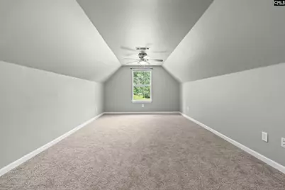 115 Black Creek Lane, Irmo, SC 29063 - Photo 29