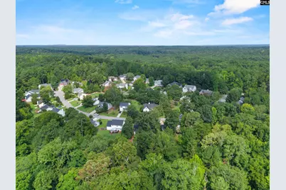 115 Black Creek Lane, Irmo, SC 29063 - Photo 41