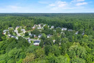 115 Black Creek Ln, Irmo, SC 29063 - Photo 41