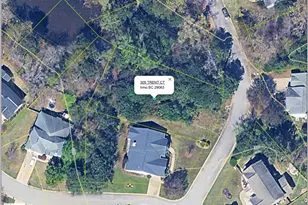 305 Trent Ct, Irmo, SC 29063 - Photo 1