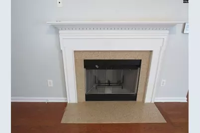 208 Dawsons Park Drive, Lexington, SC 29072 - Photo 5