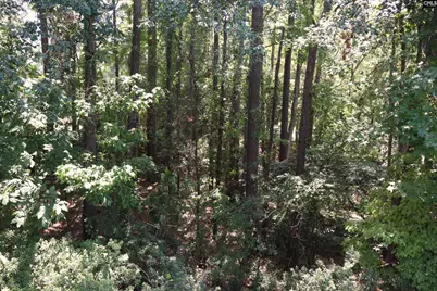 175 Hulon Greene Place 8, Columbia, SC 29169 - Photo 5