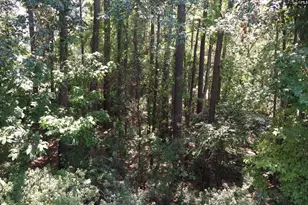 175 Hulon Greene Pl 8, Columbia, SC 29169 - Photo 5
