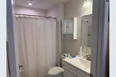 1032 Cameron Ridge Drive, Columbia, SC 29209 - Photo 11
