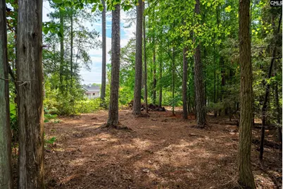 277 Cherry Circle, Prosperity, SC 29127 - Photo 27