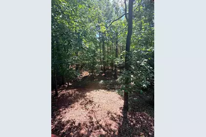 17 Oak Stand Court, Irmo, SC 29063 - Photo 23