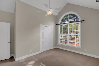 192 Palm Street, Chapin, SC 29036 - Photo 27
