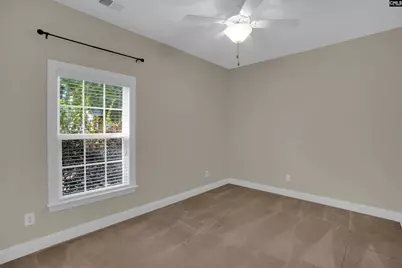 192 Palm Street, Chapin, SC 29036 - Photo 29