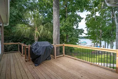 192 Palm Street, Chapin, SC 29036 - Photo 39