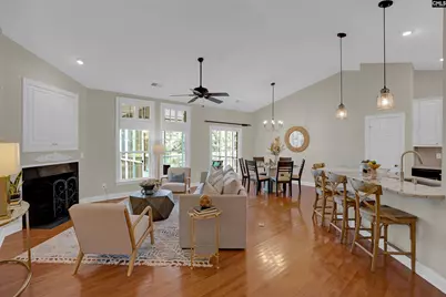 192 Palm Street, Chapin, SC 29036 - Photo 9