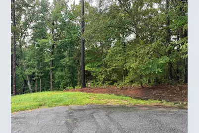 Tbd N Wysteria Lane, Winnsboro, SC 29180 - Photo 1