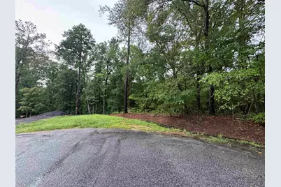 Tbd N Wysteria Lane, Winnsboro, SC 29180 - Photo 3