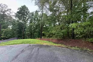 Tbd N Wysteria Ln, Winnsboro, SC 29180 - Photo 3