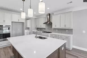 262 Lemon Tree Crossing, Elgin, SC 29045 - Photo 5