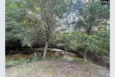 1341 Track Road A, Pelion, SC 29123 - Photo 7