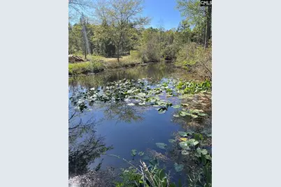 1341 Track Road A, Pelion, SC 29123 - Photo 3