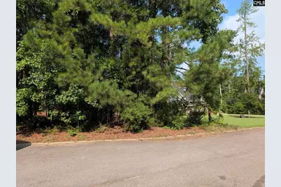 614 Golf Links Court, Chapin, SC 29036 - Photo 1