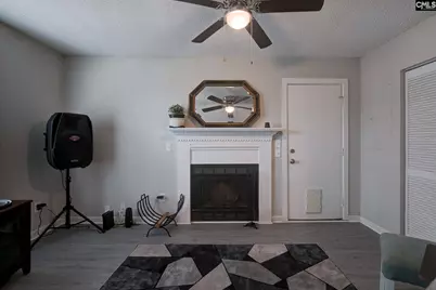 273 Jadetree Drive, Hopkins, SC 29061 - Photo 13