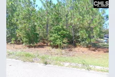 113 Arrowpoint Drive, Gaston, SC 29053 - Photo 1