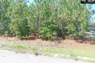 113 Arrowpoint Dr, Gaston, SC 29053 - Photo 1