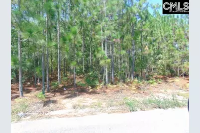 113 Arrowpoint Drive, Gaston, SC 29053 - Photo 3