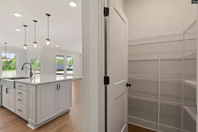 266 Lemon Tree Crossing, Elgin, SC 29045 - Photo 5