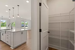 266 Lemon Tree Crossing, Elgin, SC 29045 - Photo 5