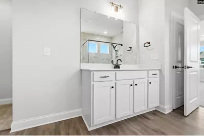 255 Lemon Tree Crossing, Elgin, SC 29045 - Photo 11